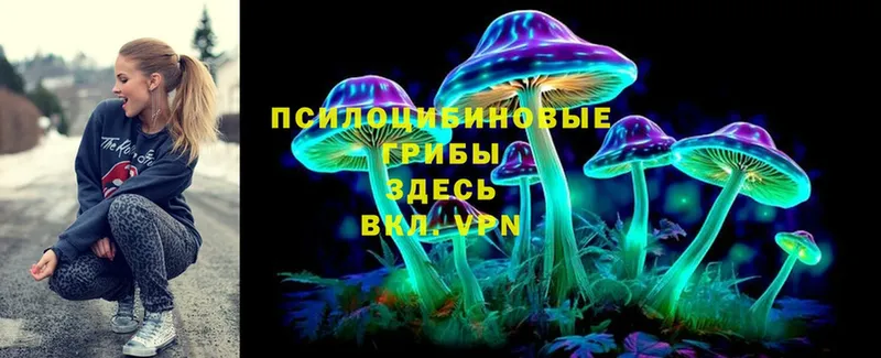 Галлюциногенные грибы GOLDEN TEACHER  MEGA вход  Анапа 